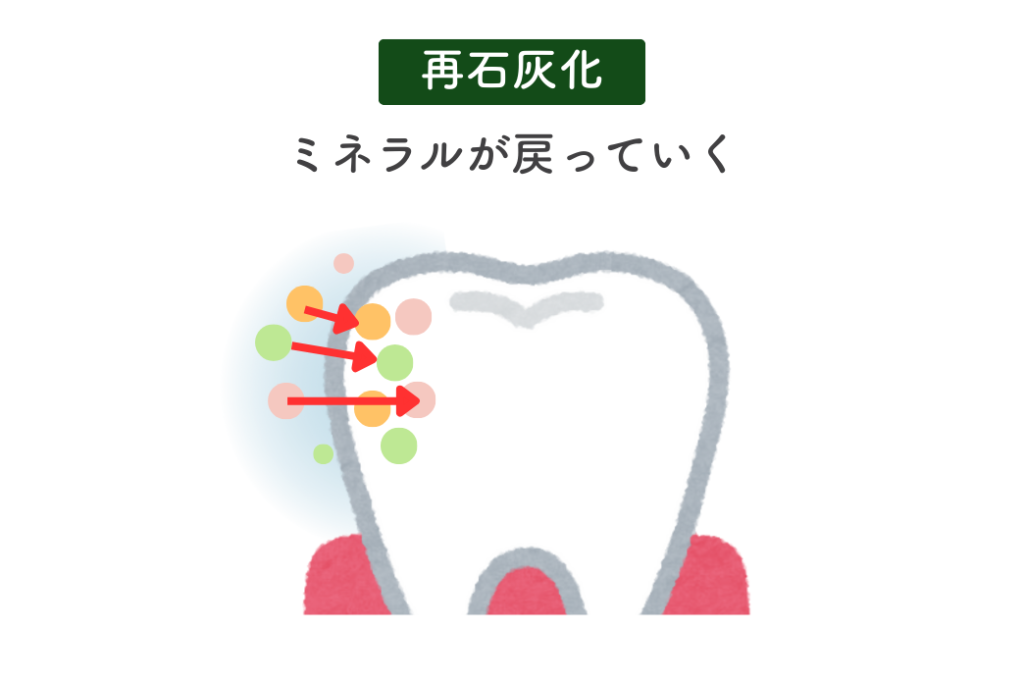 再石灰化イメージ