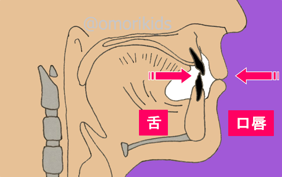 筋圧中立帯ニュートラルゾーンイメージ